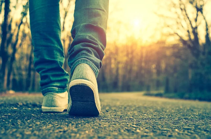 Wandelen langs de Deense kust en door de natuur