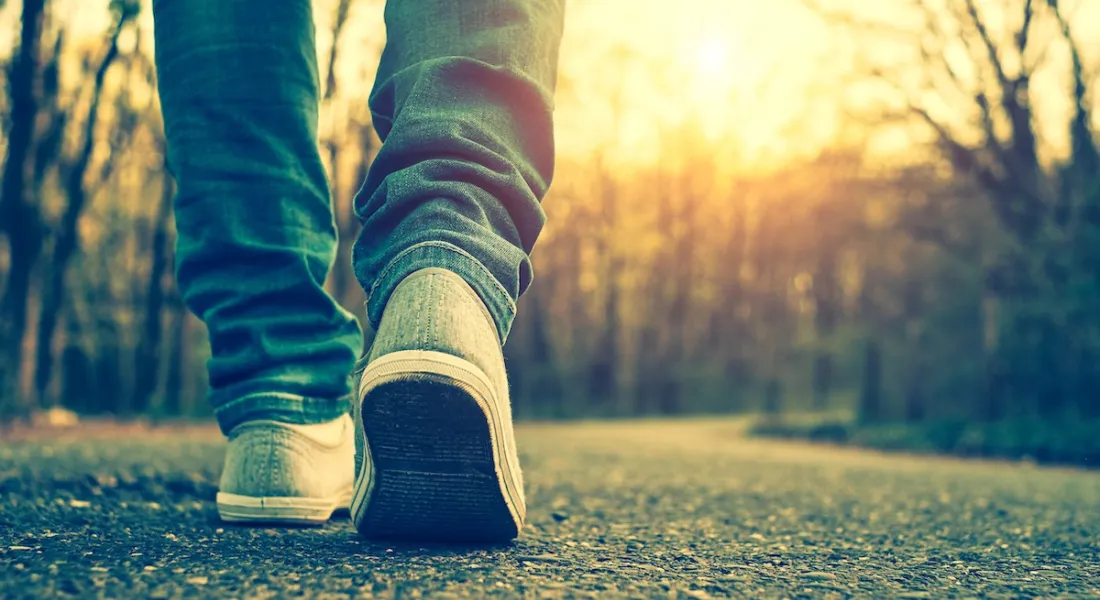Wandelen langs de Deense kust en door de natuur